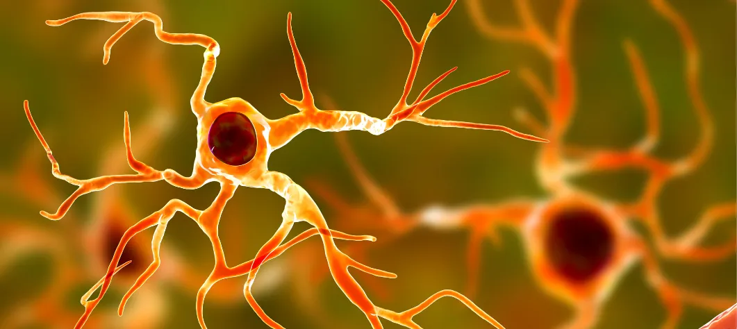 Photo d'un astrocyte