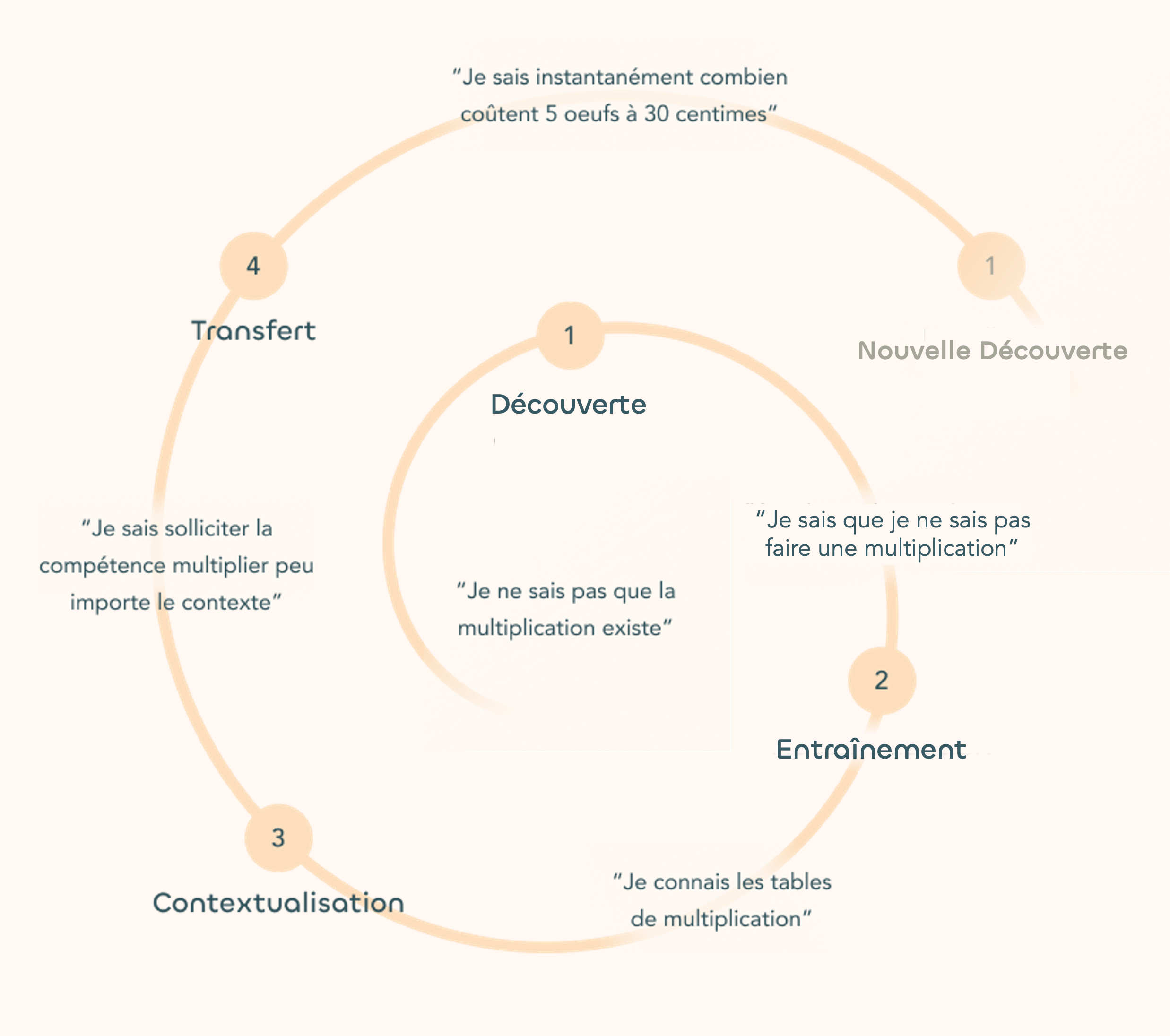 4 phases de l'apprentissage