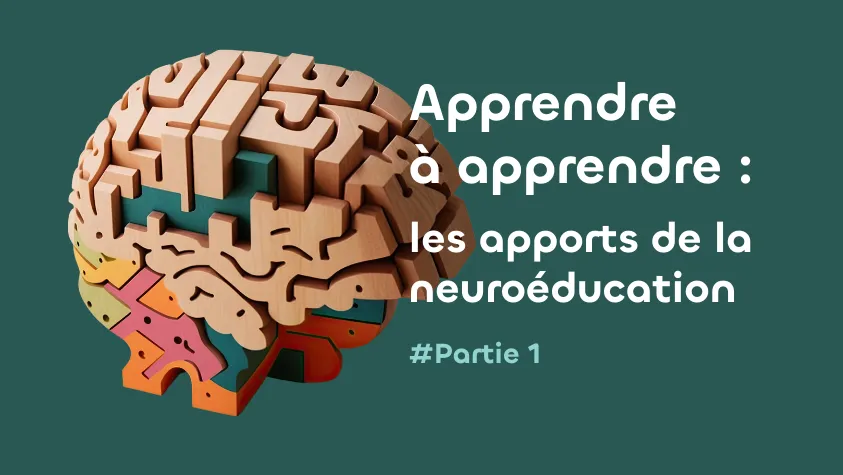 Apprendre à apprendre grâce à la neuroéducation