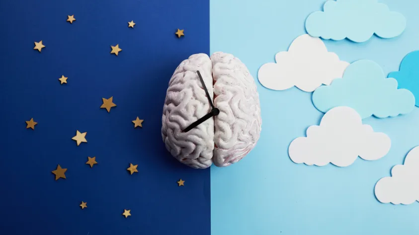 Mieux comprendre l’impact du sommeil sur le Cerveau de l’enfant