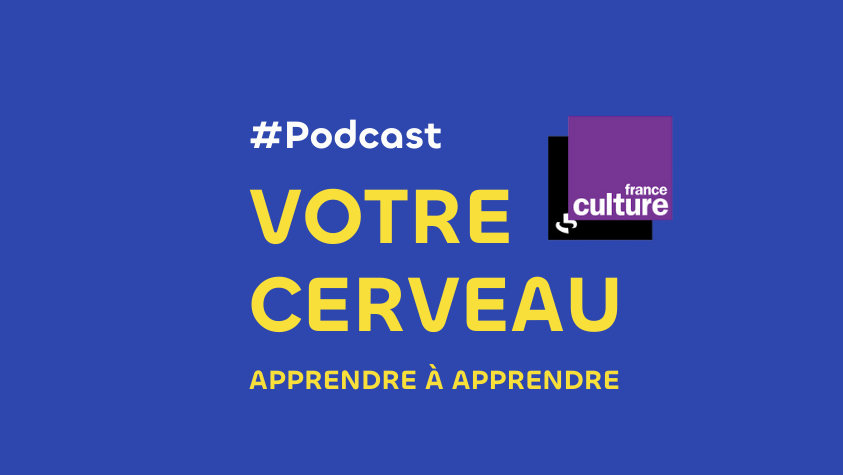 Learn how to learn with Grégoire Borst - podcast