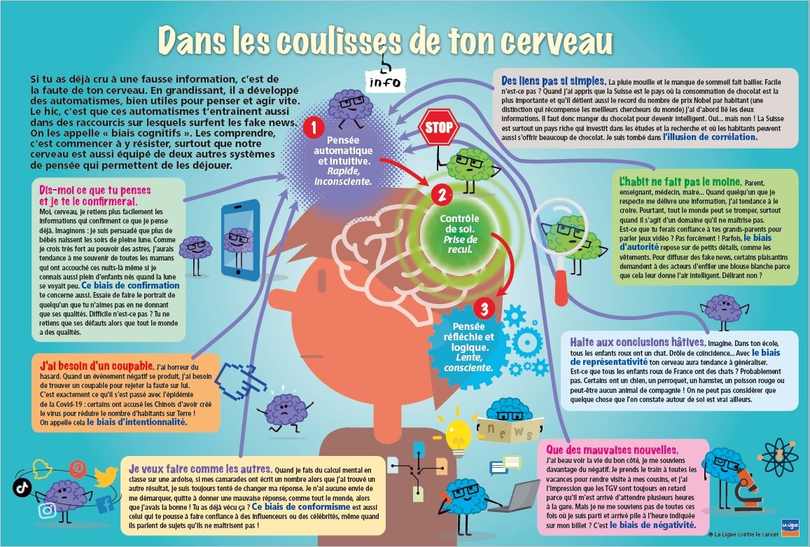 les différents biais cognitifs