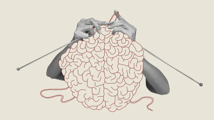 Plasticité cérébrale : définition