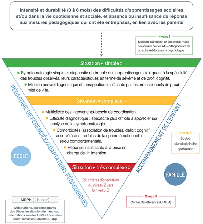 Niveaux des troubles dys